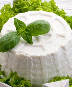 ricotta