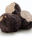 Black truffles on a white background