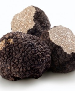 Black truffles on a white background